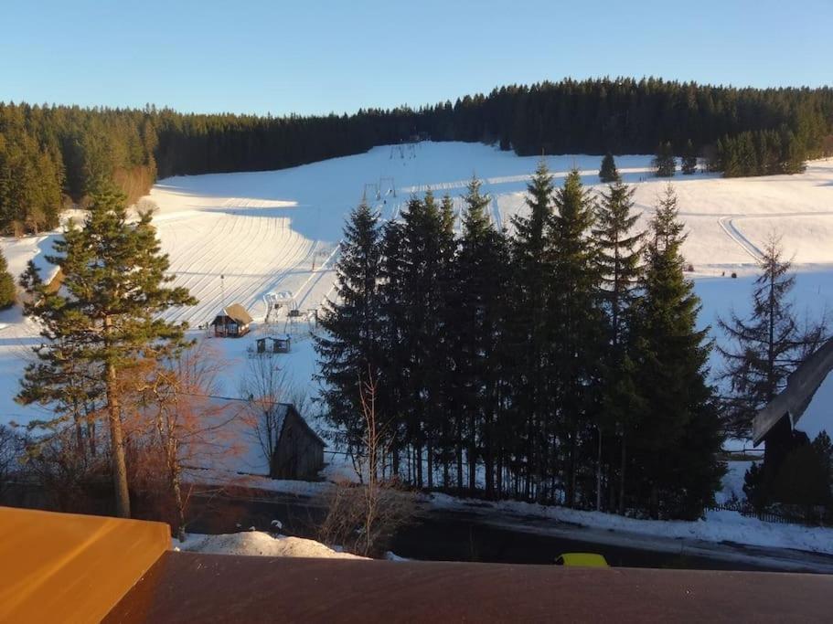 Haus Lucia, Mit Pool Und Sauna, Appartment 4 Шёнвальд Экстерьер фото